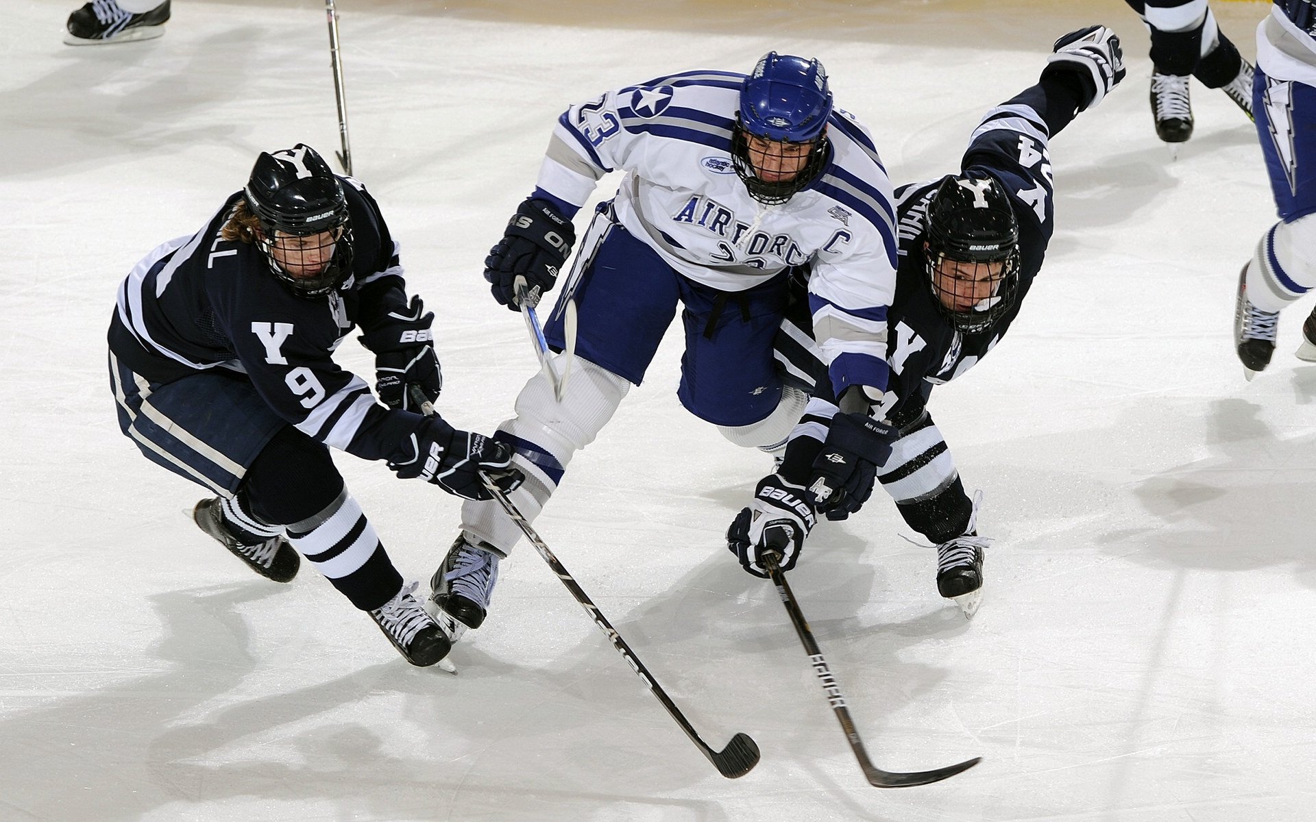 羽毛球馆运营管理系统优化用户体验,羽毛球馆运营模式