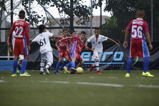 中国足球青训联盟优化人才培养机制，中国足球俱乐部青训